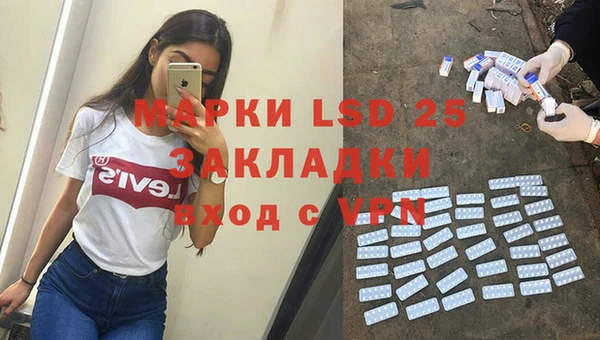 мяу мяу мука Аркадак