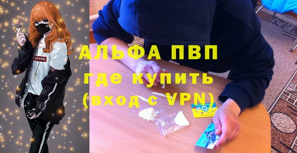 мяу мяу мука Аркадак