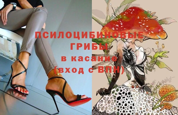 мяу мяу мука Аркадак