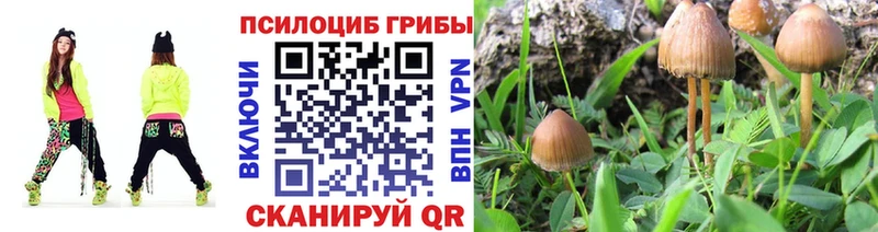 Псилоцибиновые грибы ЛСД  Слободской 